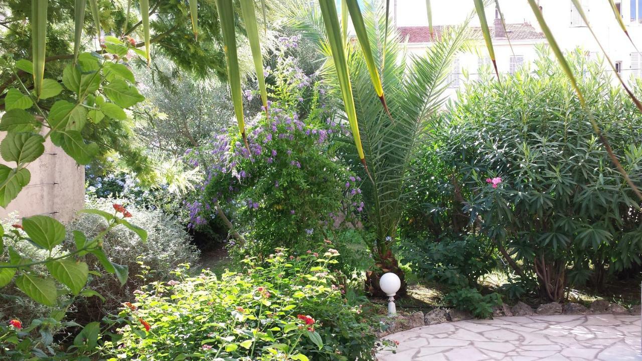 Central Avec Jardin Cannes Bagian luar foto